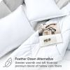 Queen size Super Soft Microfiber Down Alternative Comforter Set White